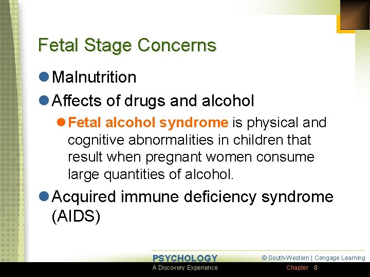 Fetal Stage Concerns l Malnutrition l Affects of drugs and alcohol l Fetal alcohol