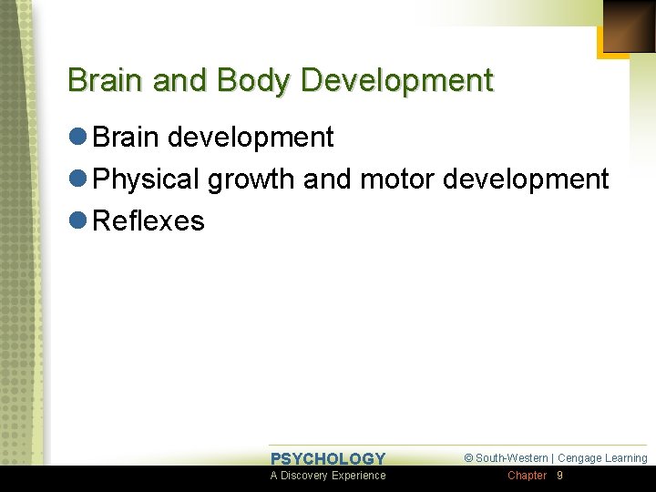 Brain and Body Development l Brain development l Physical growth and motor development l