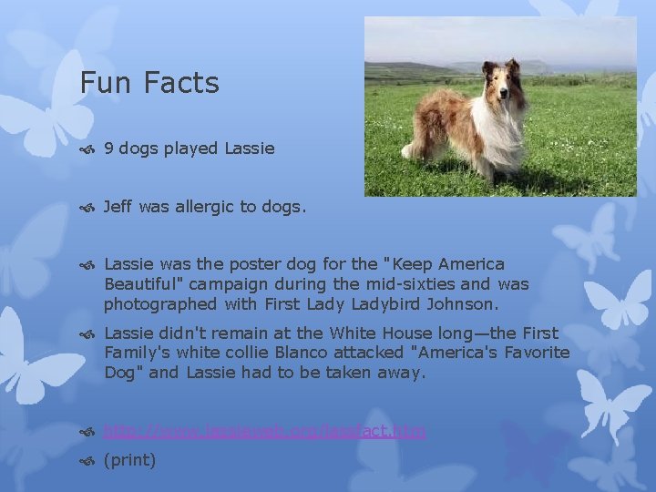 Fun Facts 9 dogs played Lassie Jeff was allergic to dogs. Lassie was the