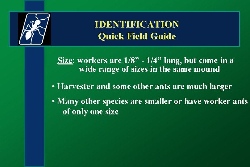IDENTIFICATION Quick Field Guide Size: workers are 1/8” - 1/4” long, but come in