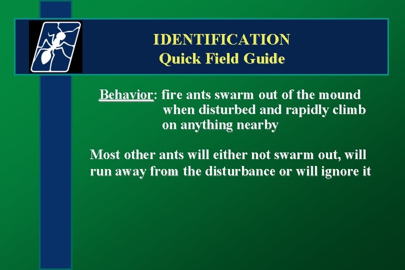 IDENTIFICATION Quick Field Guide Behavior: fire ants swarm out of the mound when disturbed