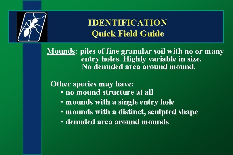 IDENTIFICATION Quick Field Guide Mounds: piles of fine granular soil with no or many