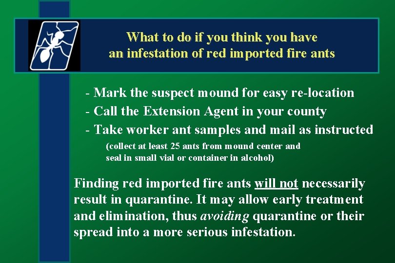 What to do if you think you have an infestation of red imported fire