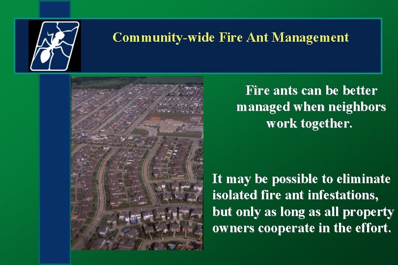 Community-wide Fire Ant Management Fire ants can be better managed when neighbors work together.