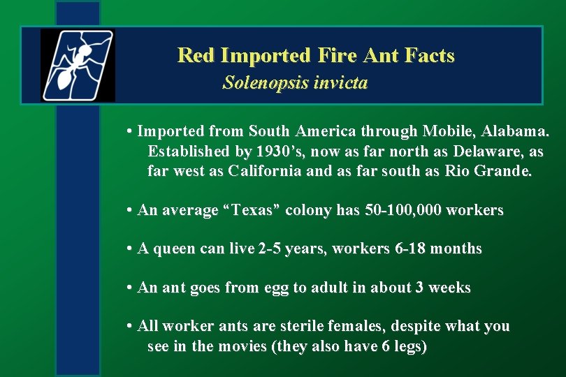 Red Imported Fire Ant Facts Solenopsis invicta • Imported from South America through Mobile,