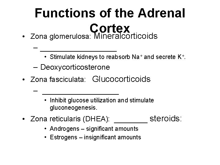 • Functions of the Adrenal Cortex Zona glomerulosa: Mineralcorticoids – _________ • Stimulate • Functions of the Adrenal Cortex Zona glomerulosa: Mineralcorticoids – _________ • Stimulate