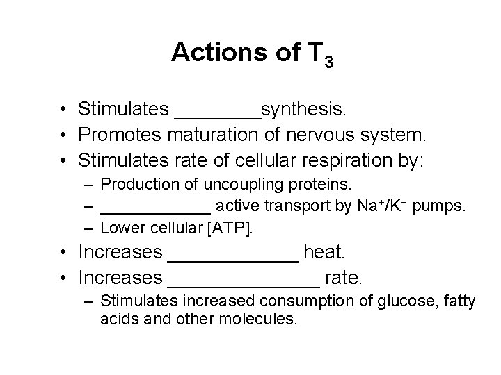 Actions of T 3 • Stimulates ____synthesis. • Promotes maturation of nervous system. • Actions of T 3 • Stimulates ____synthesis. • Promotes maturation of nervous system. •