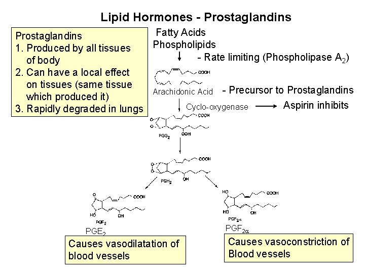 Lipid Hormones - Prostaglandins Fatty Acids Prostaglandins Phospholipids 1. Produced by all tissues - Lipid Hormones - Prostaglandins Fatty Acids Prostaglandins Phospholipids 1. Produced by all tissues -