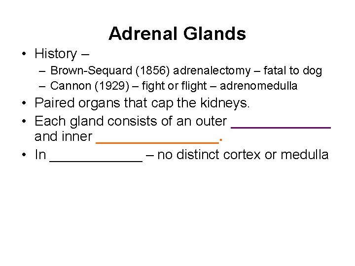 Adrenal Glands • History – – Brown-Sequard (1856) adrenalectomy – fatal to dog – Adrenal Glands • History – – Brown-Sequard (1856) adrenalectomy – fatal to dog –