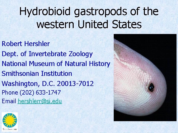 Hydrobioid gastropods of the western United States Robert Hershler Dept. of Invertebrate Zoology National