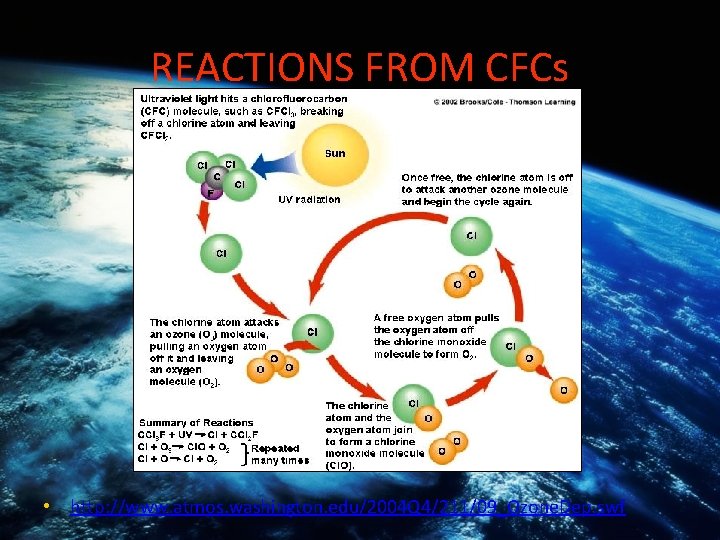 REACTIONS FROM CFCs • http: //www. atmos. washington. edu/2004 Q 4/211/09_Ozone. Dep. swf 