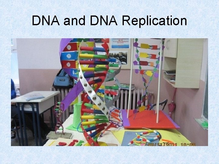 DNA and DNA Replication 