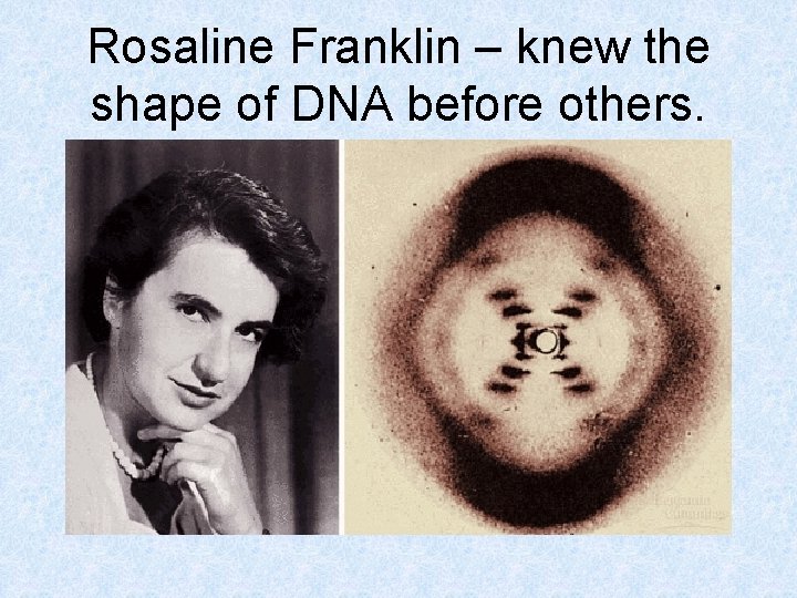 Rosaline Franklin – knew the shape of DNA before others. 
