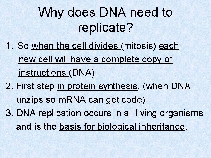Why does DNA need to replicate? 1. So when the cell divides (mitosis) each