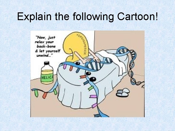 Explain the following Cartoon! 