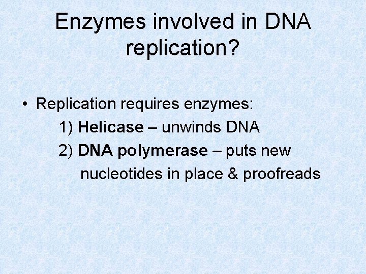 Enzymes involved in DNA replication? • Replication requires enzymes: 1) Helicase – unwinds DNA