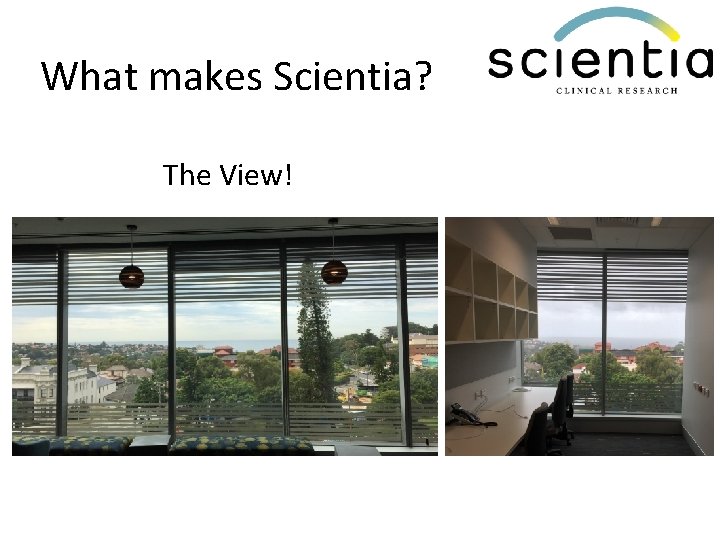 What makes Scientia? The View! 