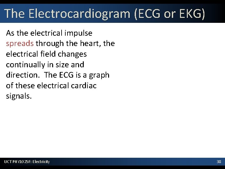 The Electrocardiogram (ECG or EKG) As the electrical impulse spreads through the heart, the