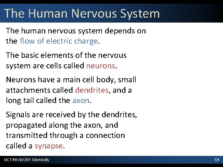 The Human Nervous System The human nervous system depends on the flow of electric