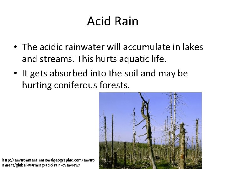 Acid Rain • The acidic rainwater will accumulate in lakes and streams. This hurts