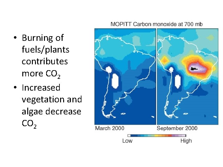  • Burning of fuels/plants contributes more CO 2 • Increased vegetation and algae