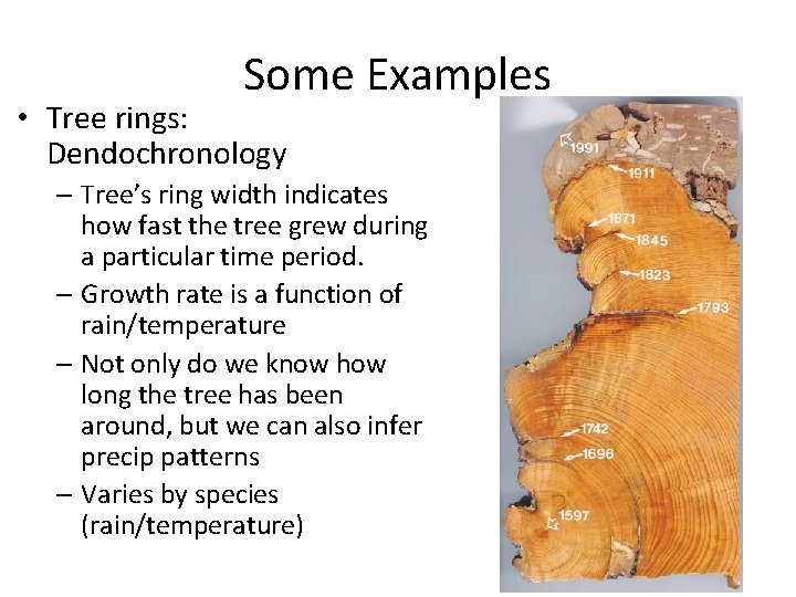 Some Examples • Tree rings: Dendochronology – Tree’s ring width indicates how fast the