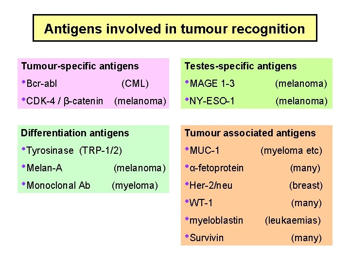 Antigens involved in tumour recognition Tumour-specific antigens Testes-specific antigens • Bcr-abl • CDK-4 /