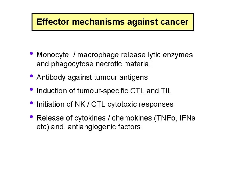 Effector mechanisms against cancer • Monocyte / macrophage release lytic enzymes and phagocytose necrotic