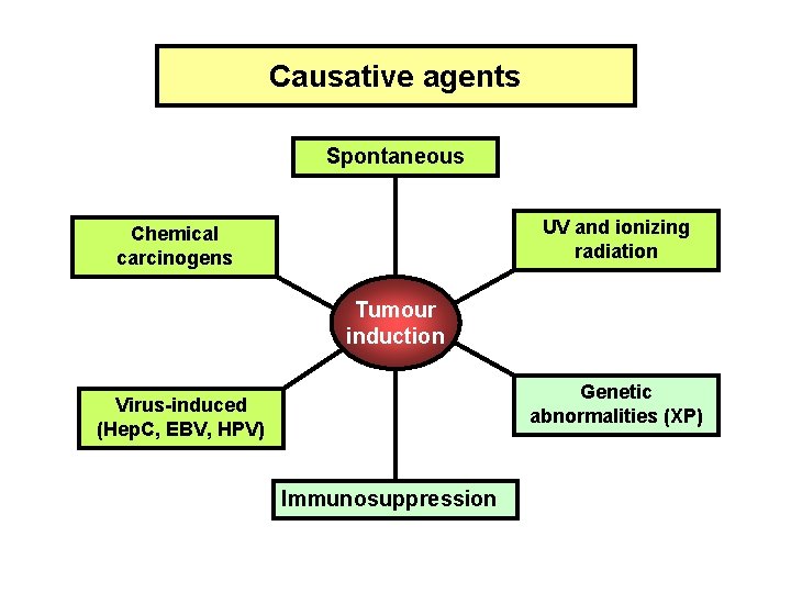 Causative agents Spontaneous UV and ionizing radiation Chemical carcinogens Tumour induction Genetic abnormalities (XP)