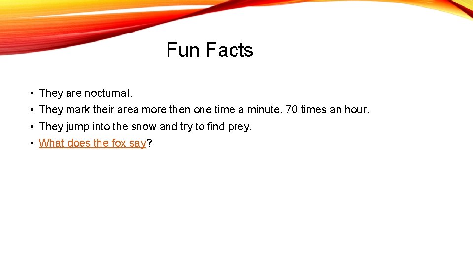 Fun Facts • They are nocturnal. • They mark their area more then one