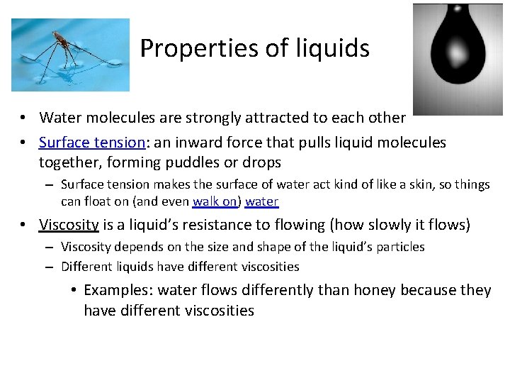 Properties of liquids • Water molecules are strongly attracted to each other • Surface