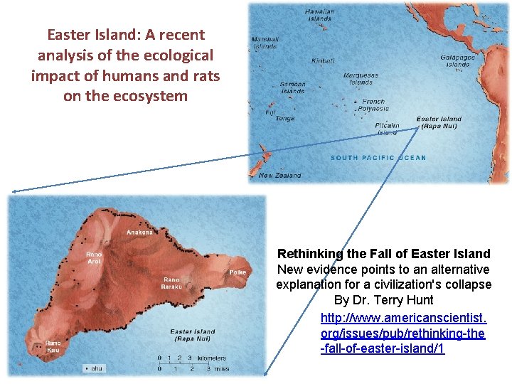 Easter Island: A recent analysis of the ecological impact of humans and rats on