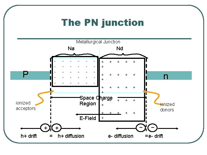 The PN junction Metallurgical Junction Na - P ionized acceptors - - Nd -