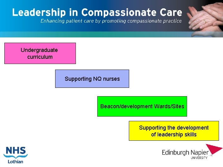 Undergraduate curriculum Supporting NQ nurses Beacon/development Wards/Sites Supporting the development of leadership skills 