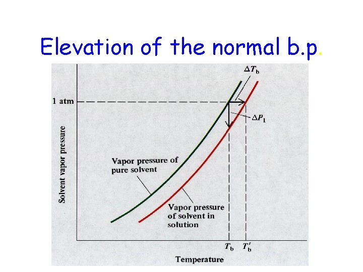 Elevation of the normal b. p. 