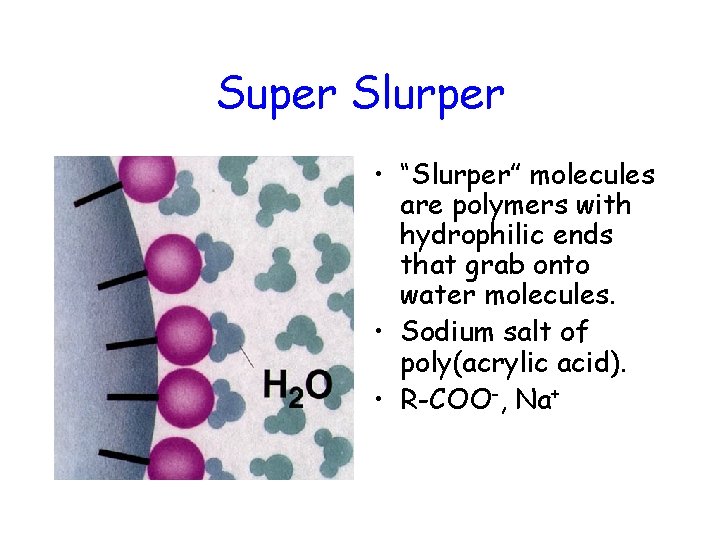 Super Slurper • “Slurper” molecules are polymers with hydrophilic ends that grab onto water