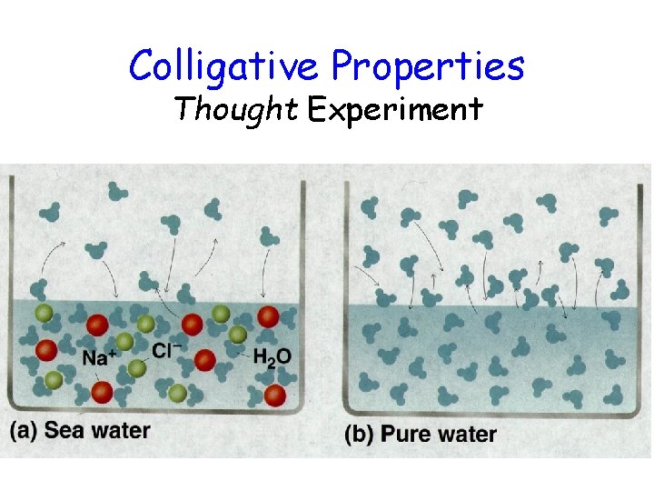 Colligative Properties Thought Experiment 