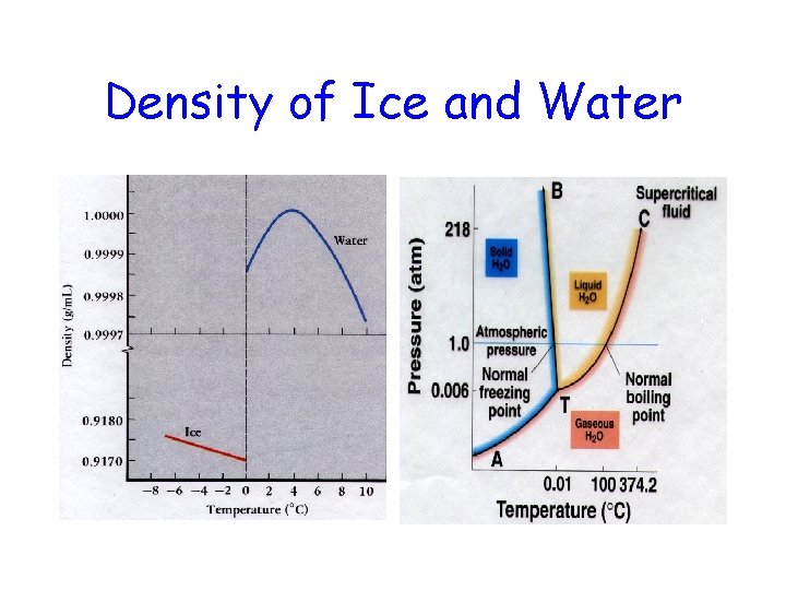 Density of Ice and Water 