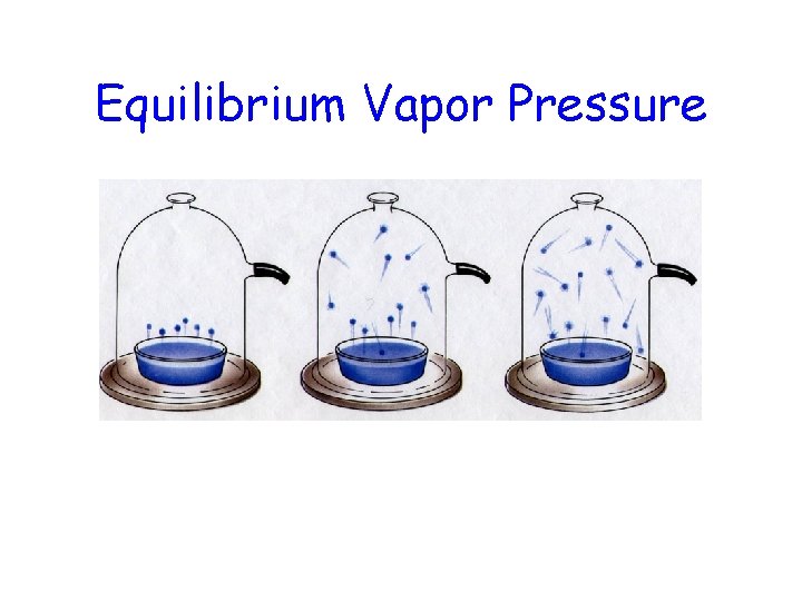 Equilibrium Vapor Pressure 