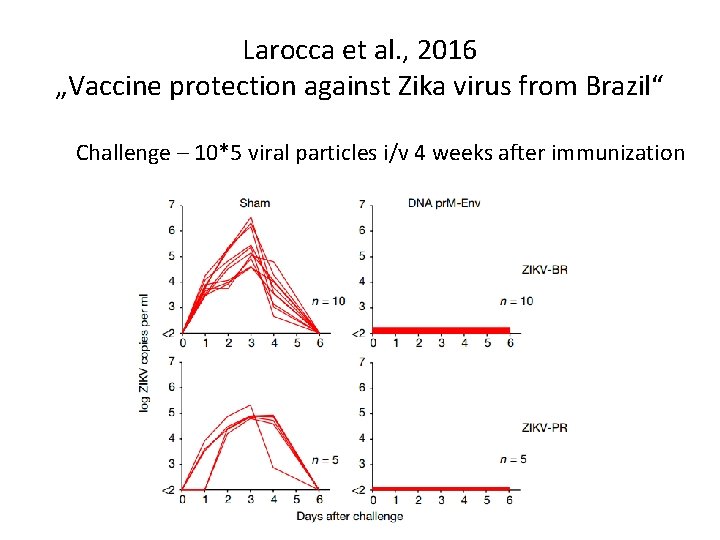 Larocca et al. , 2016 „Vaccine protection against Zika virus from Brazil“ Challenge –