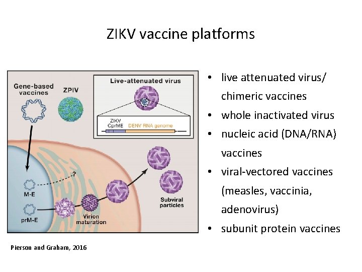 ZIKV vaccine platforms • live attenuated virus/ chimeric vaccines • whole inactivated virus •