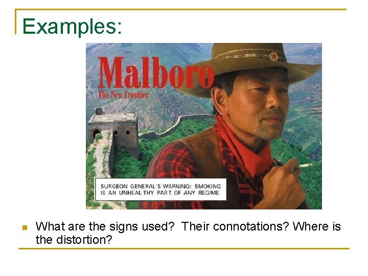 Examples: n What are the signs used? Their connotations? Where is the distortion? 