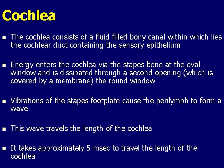Cochlea n The cochlea consists of a fluid filled bony canal within which lies