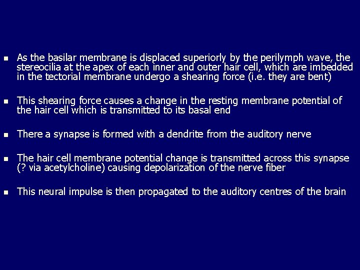 n As the basilar membrane is displaced superiorly by the perilymph wave, the stereocilia