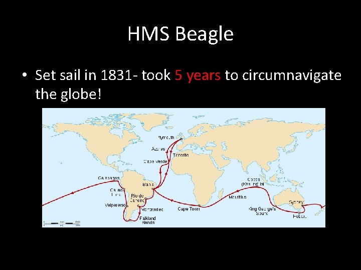 HMS Beagle • Set sail in 1831 - took 5 years to circumnavigate the HMS Beagle • Set sail in 1831 - took 5 years to circumnavigate the