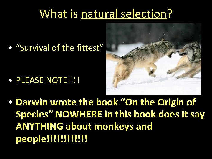 What is natural selection? • “Survival of the fittest” • PLEASE NOTE!!!! • Darwin What is natural selection? • “Survival of the fittest” • PLEASE NOTE!!!! • Darwin