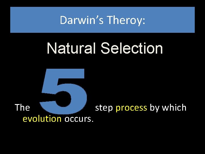 Darwin’s Theroy: Natural Selection The step process by which evolution occurs. Darwin’s Theroy: Natural Selection The step process by which evolution occurs.