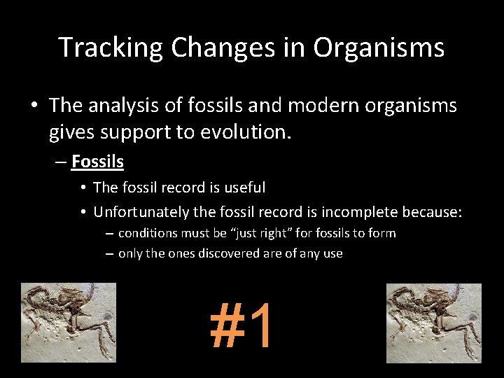 Tracking Changes in Organisms • The analysis of fossils and modern organisms gives support Tracking Changes in Organisms • The analysis of fossils and modern organisms gives support