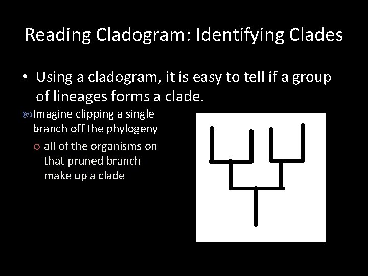 Reading Cladogram: Identifying Clades • Using a cladogram, it is easy to tell if Reading Cladogram: Identifying Clades • Using a cladogram, it is easy to tell if