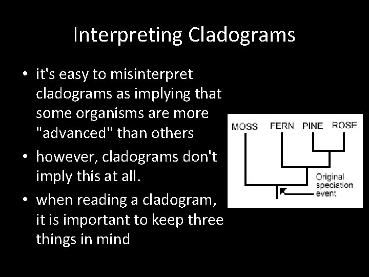 Interpreting Cladograms • it's easy to misinterpret cladograms as implying that some organisms are Interpreting Cladograms • it's easy to misinterpret cladograms as implying that some organisms are